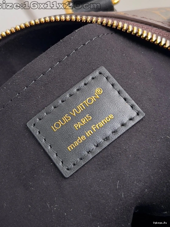 Speedy Vuitton 20 Louis Trunk 0124